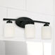 Dixon 3 Light 21 inch Matte Black Vanity Light Wall Light