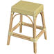 Robias Rectangular Rattan 24.5" Counter Stool in Yellow and White Dot