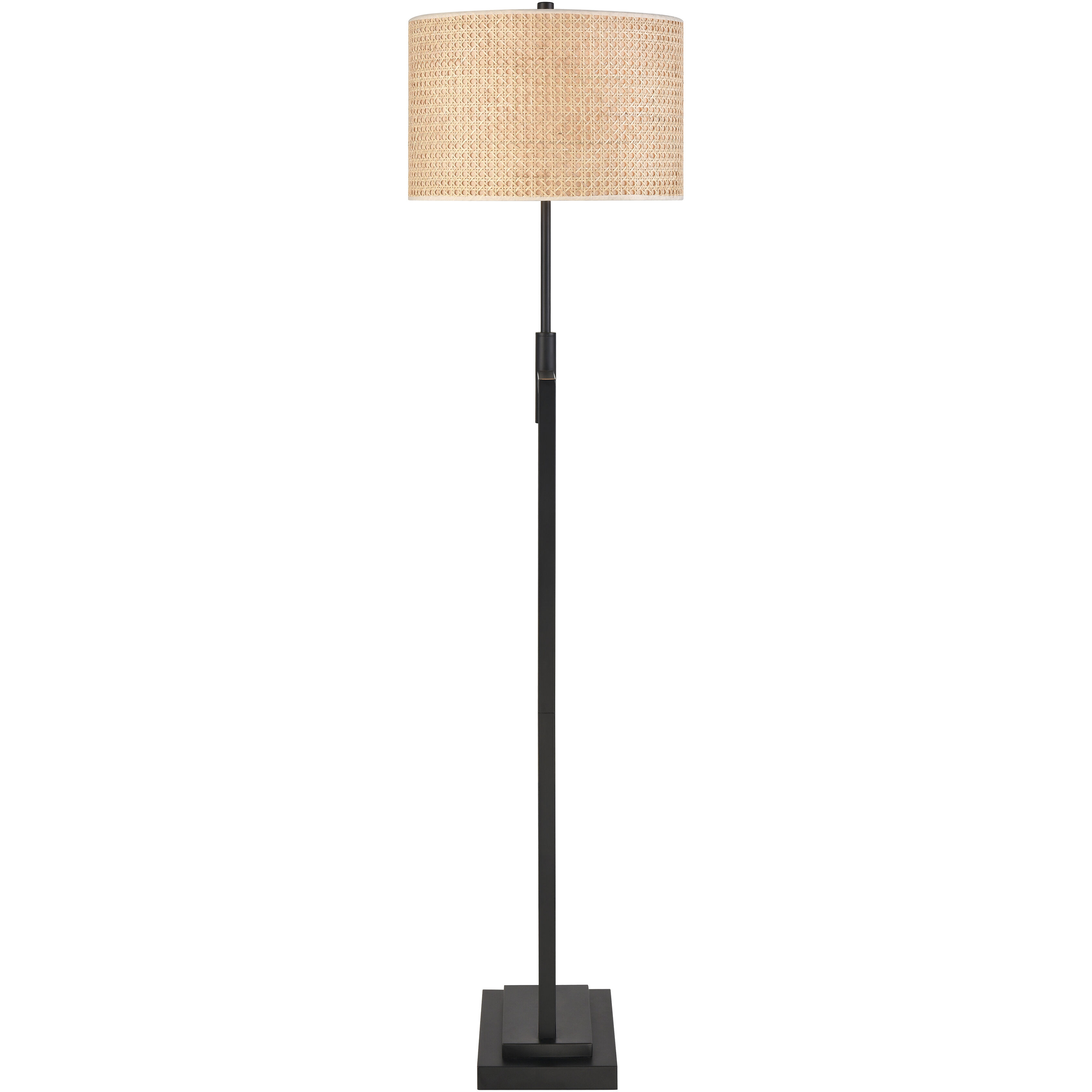 Baitz 62.5 inch 150 watt Matte Black Floor Lamp Portable Light