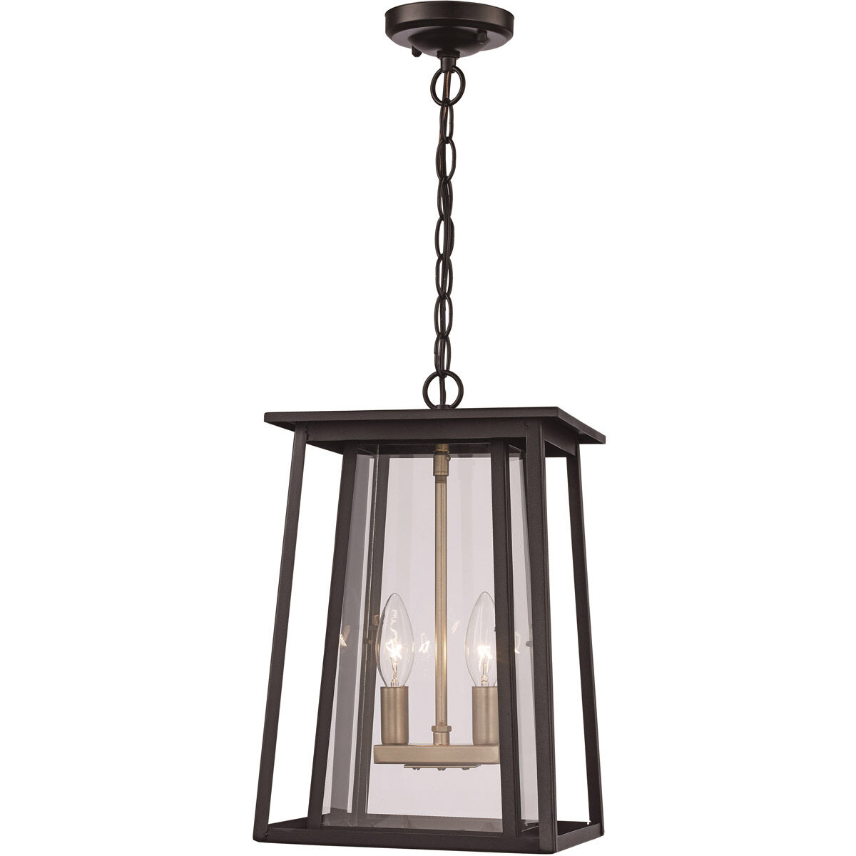 Geode 2 Light 9 inch Black Outdoor Hanging Lantern 