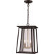 Geode 2 Light 9 inch Black Outdoor Hanging Lantern 