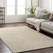 Helen 36 X 24 inch Gray Rug, Rectangle