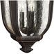 Trafalgar 3 Light 12 inch Mocha Outdoor Hanging Lantern