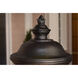 Carriage House DC 3 Light 31 inch Oriental Bronze Outdoor Wall Mount 