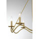 Transitional 6 Light 28 inch Natural Brass Chandelier Ceiling Light