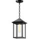 Alora Mood Larchmont 1 Light 7.88 inch Textured Black Exterior Pendant