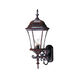 Bryn Mawr 3 Light 24 inch Burled Walnut Exterior Wall Mount