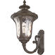 Oxford 1 Light 18 inch Imperial Bronze Outdoor Wall Lantern