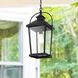 Luz 1 Light 9 inch Black Outdoor Pendant