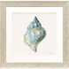 Coastal Bliss Green and Blue Framed Art, Propac