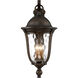 Havenwood 5 Light 31 inch Tavira Bronze And Alder Silver Outdoor Wall Mount, Great Outdoors 