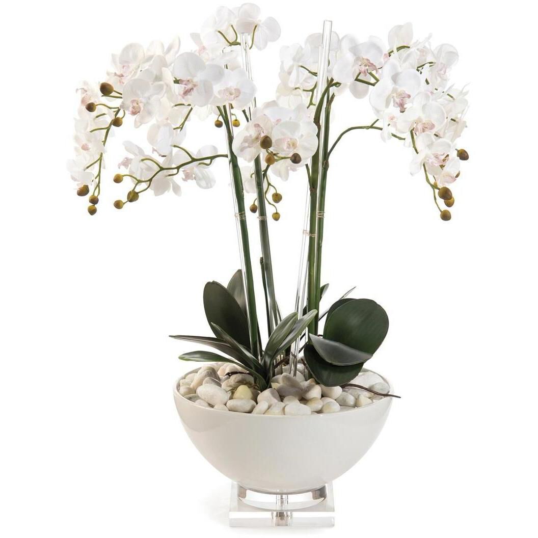 Orchids White Botanical, Fresh Water Look