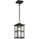 Greyson 1 Light 7.5 inch Brass and Black Outdoor Pendant