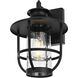 Janney 1 Light 12.5 inch Black Outdoor Wall Sconce