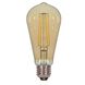 Lumos LED ST19 Medium E26 4.5 watt 120V 2000K Light Bulb