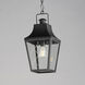 Storybook 1 Light 9.5 inch Black Outdoor Pendant