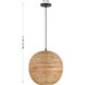 Pharr 1 Light 12 inch Matte Black Pendant Ceiling Light
