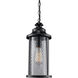 Stewart 1 Light 8 inch Black Outdoor Hanging Lantern