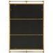 Ripoll 45.75 X 31.25 inch Antique Brass and Amber Acrylic Mirror
