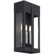 Berksford 3 Light 17 inch Black with Brushed Nickel Candles Outdoor Wall Lantern