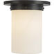 Mineral 1 Light 7.88 inch Urban Bronze and Matte Opal Glass Flush Mount Ceiling Light in Opal Glass Shade