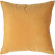 Jonquil 20 inch Mango Indoor Pillow