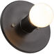 Ambiance Collection 1 Light Carbon Matte Black Wall Sconce Wall Light