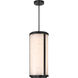 Great Outdoors Salt Creek LED 13 inch Coal Outdoor Pendant