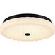 Cherbury LED 16 inch Matte Black Flush Mount Ceiling Light, Medium