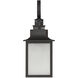 Monte Grande Outdoor Wall Lantern in English Bronze