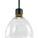 Zigrina 1 Light 10.25 inch Satin Brushed Black with Aged Brass Pendant Ceiling Light