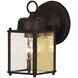 Exterior Collections Outdoor Wall Lantern in Rust