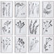 Contemporary Botanicals 22 X 16 inch Framed Prints, Set of 12