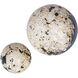 Nouveau Coral Stone with Black Resin Indoor-Outdoor Spheres, Set of 2