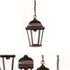 Richmond 1 Light 9.5 inch Burled Walnut Exterior Hanging Lantern in Clear