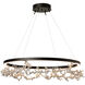 Coral LED 40.7 inch Oil Rubbed Bronze/Sterling Ring Pendant Ceiling Light, Art & Alchemy