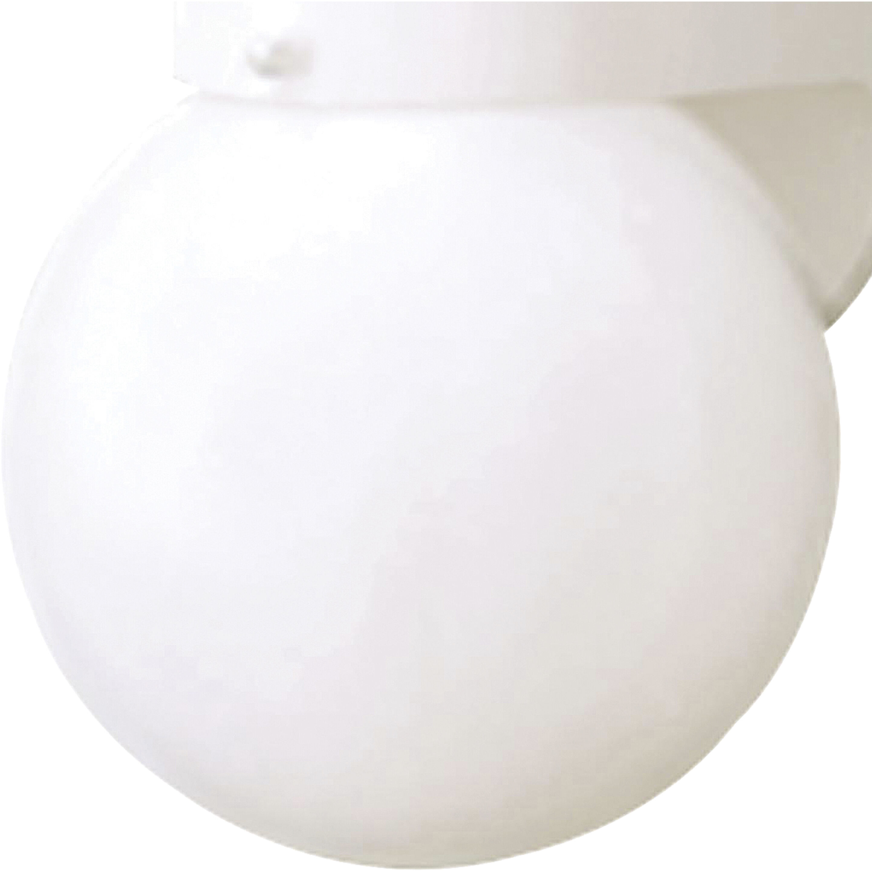 Nome 1 Light 7 inch White Outdoor Sconce