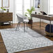 Napoli 90 X 60 inch Light Gray Rug, Rectangle