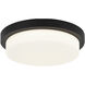 Durham LED 15.75 inch Matte Black Flush Mount Ceiling Light