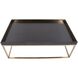 Vassio 48 X 18 inch Black/Gold Coffee Table