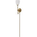 Trophy 1 Light Warm Brass Sconce Wall Light