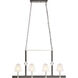 Armstrong Grove 4 Light 36 inch Charcoal with Satin Nickel Linear Chandelier Ceiling Light