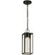 Walker Hill LED 5.39 inch Matte Black Outdoor Pendant