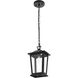 Berks 1 Light 5.5 inch Black Outdoor Pendant