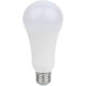 Lumos LED Type A Medium 20.00 watt 5000K Light Bulb