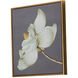 Anita Gold Wall Art