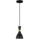 ED Ellen DeGeneres Joan 1 Light 6.25 inch Midnight Black Mini-Pendant Ceiling Light
