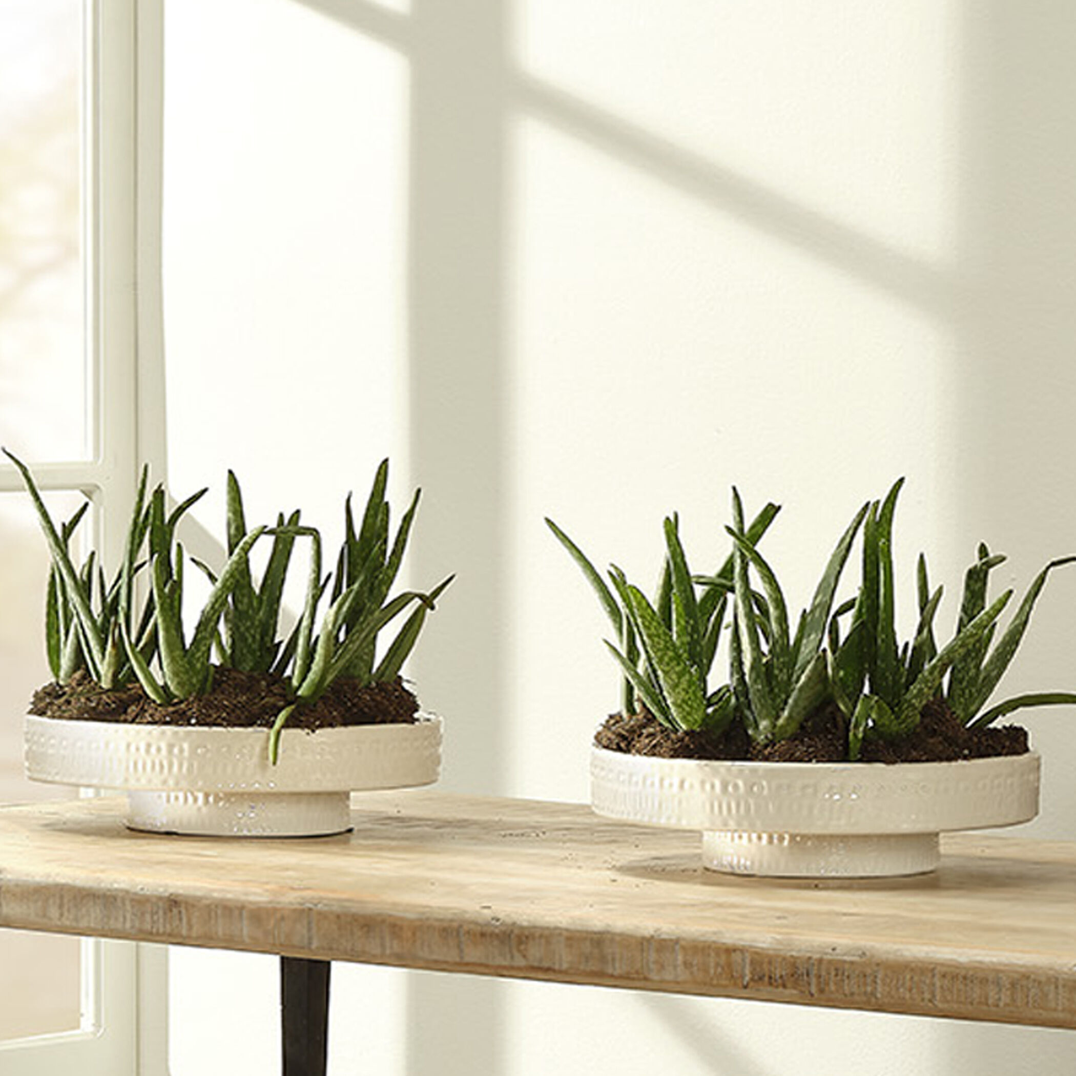 Coco 13 X 13 inch White Ceramic Pedestal