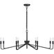 Salem 8 Light 40 inch Forged Iron Chandelier Ceiling Light