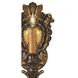 Metropolitan Collection Wall Sconce Wall Light in Oxidated Brass